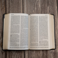 Bible SG21 souple cuir anthracite or