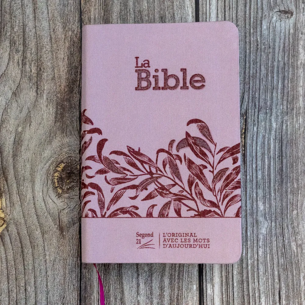 Bible SG21 souple textile rose onglets