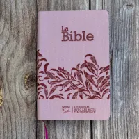 Bible SG21 souple textile rose onglets