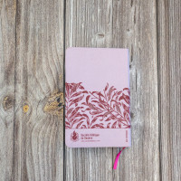 Bible SG21 souple textile rose onglets