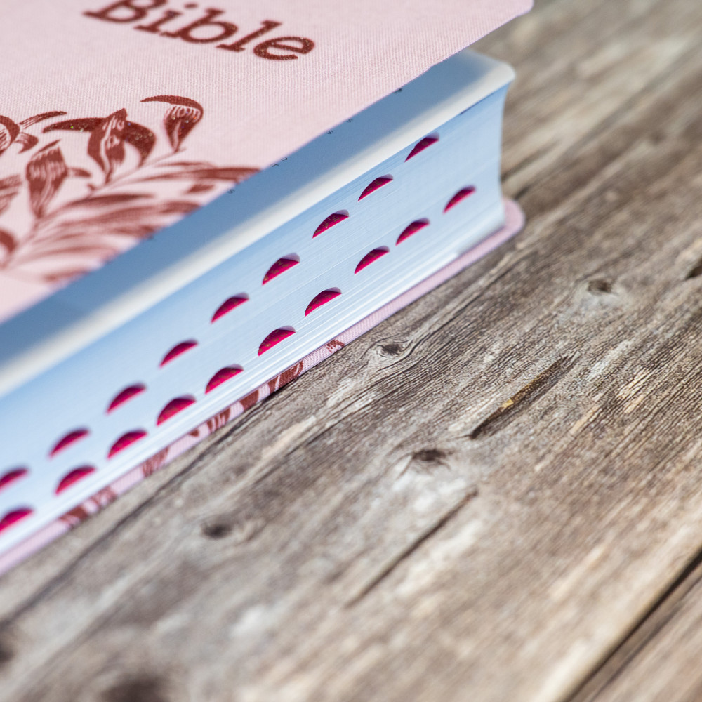 Bible SG21 souple textile rose onglets