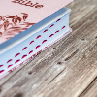 Bible SG21 souple textile rose onglets