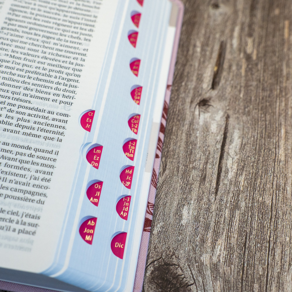 Bible SG21 souple textile rose onglets