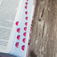 Bible SG21 souple textile rose onglets