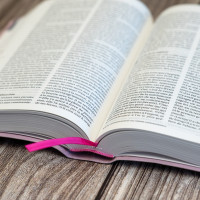 Bible SG21 souple textile rose onglets