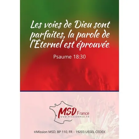 Calendrier - Trésors