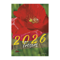 Calendrier - Trésors