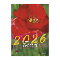 Calendrier - Trésors