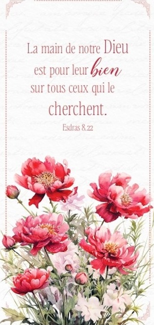 Marque-page magnet - Esdras 8:22