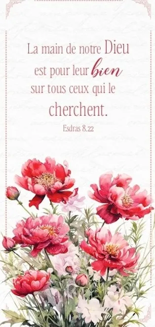 Marque-page magnet - Esdras 8:22