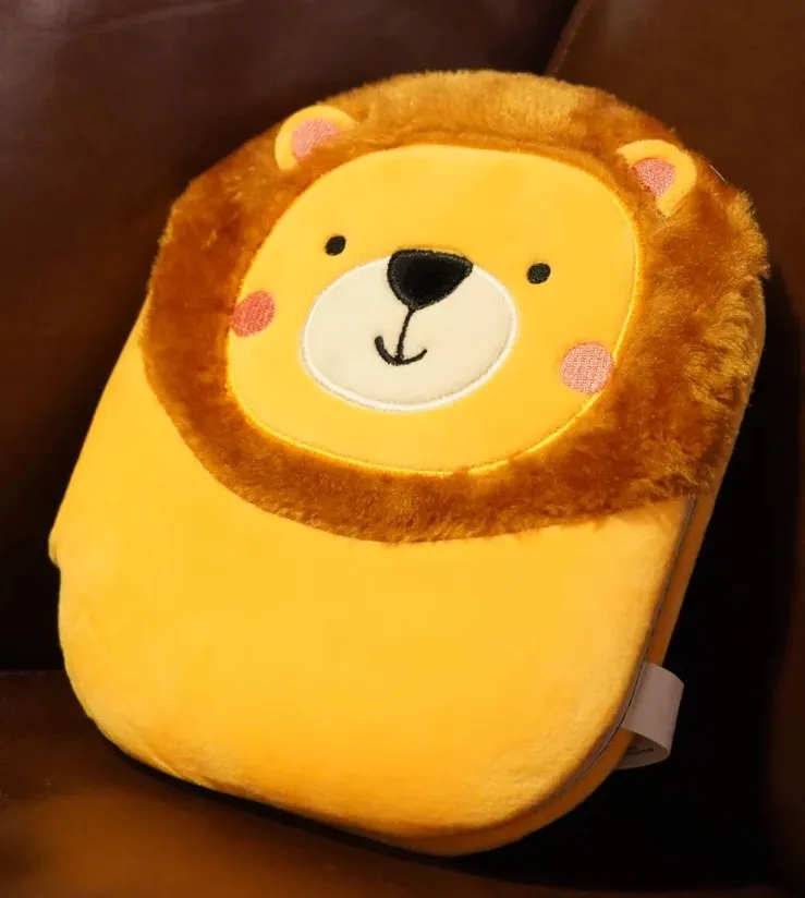 Mon courageux lionceau - Ma Bible câline