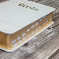 Bible SG21 souple textile blanc or onglets