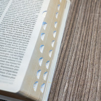 Bible SG21 souple textile blanc or onglets
