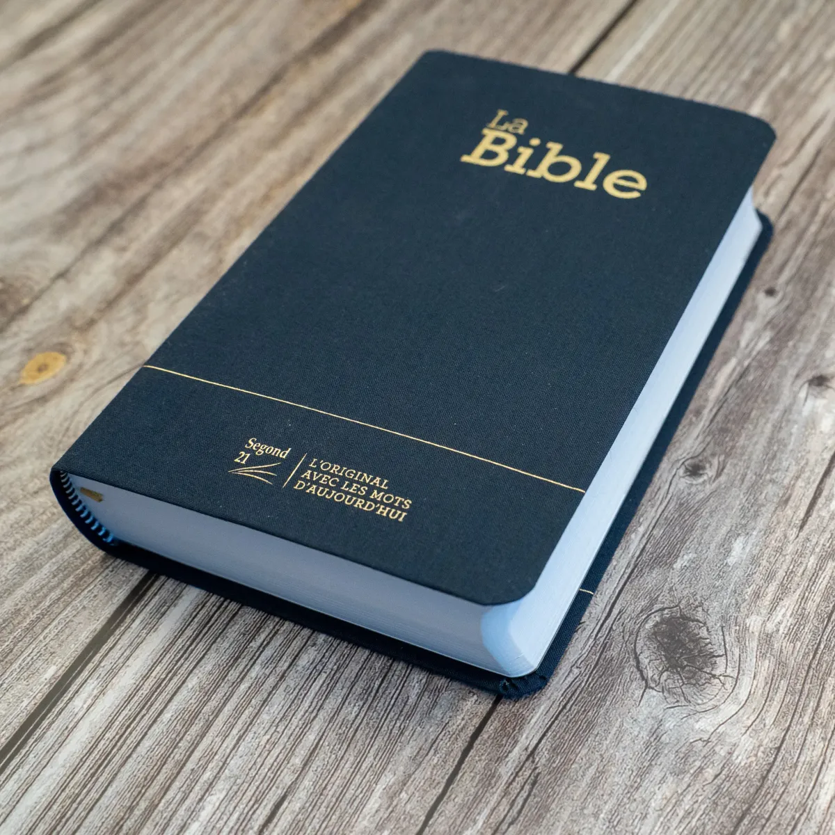 Bible SG21 souple textile bleu marine