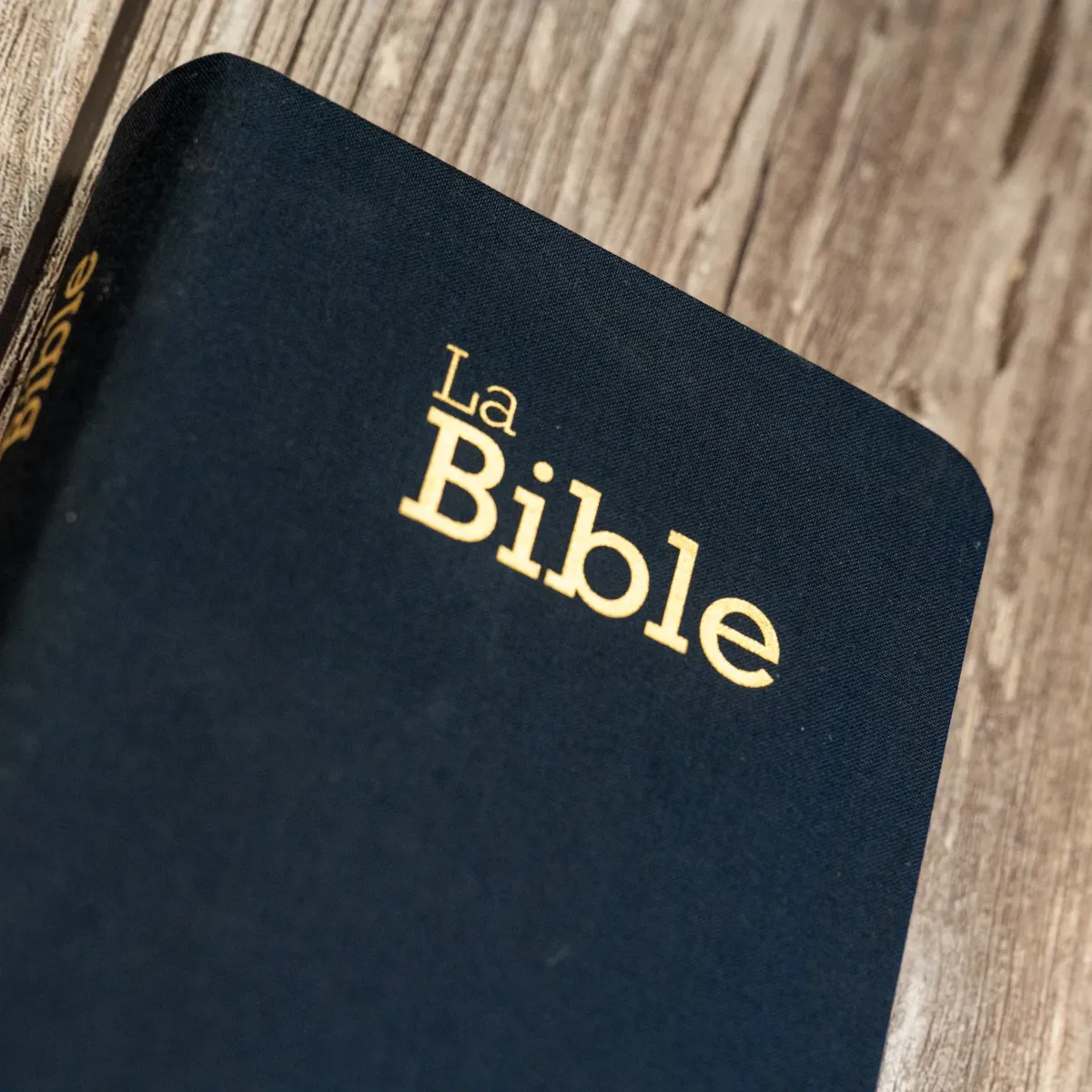 Bible SG21 souple textile bleu marine
