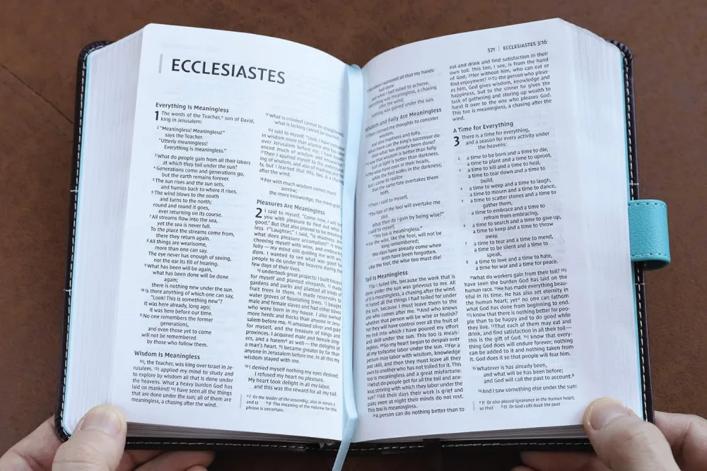 NIV Bible compact thinline turquoise/chocolate