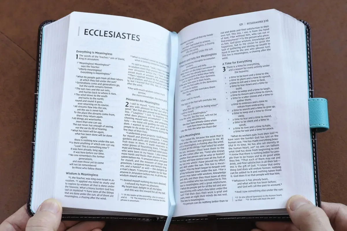 NIV Bible compact thinline turquoise/chocolate
