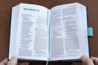 NIV Bible compact thinline turquoise/chocolate