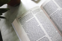 NIV Holy Bible LP outreach