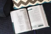 NIV couple devotional Bible - Growing together in Christ (hardcover)