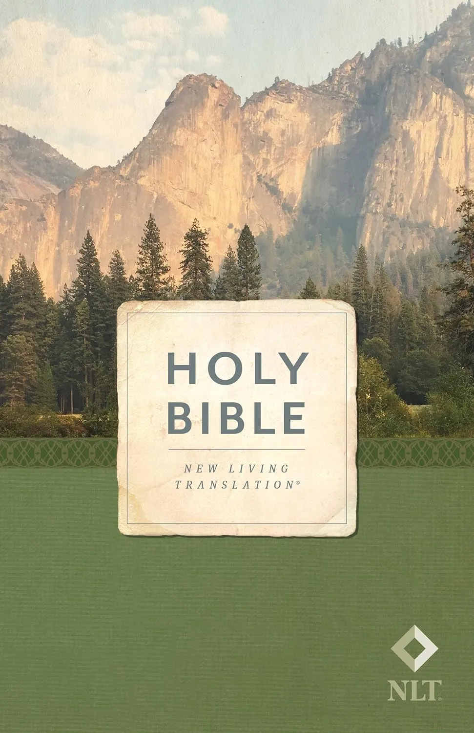 NLT Bible economy outreach