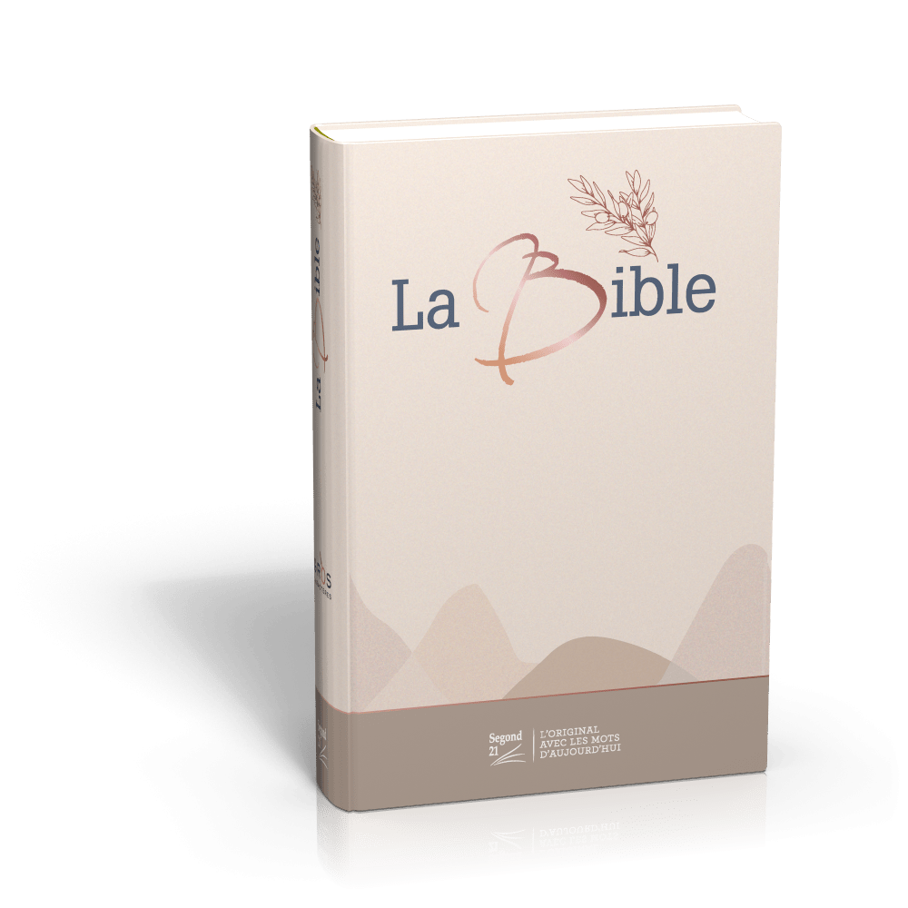 Bible SG21 gros caractères rigide toile matelassée beige
