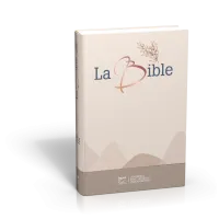 Bible SG21 gros caractères rigide toile matelassée beige