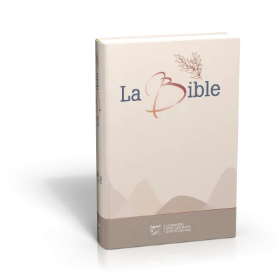 Bible SG21 gros caractères rigide toile matelassée beige