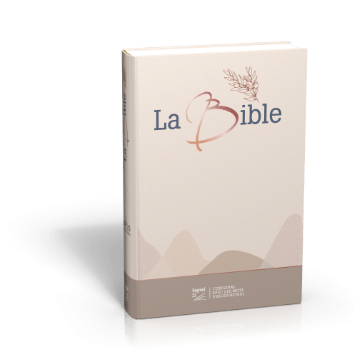 Bible SG21 gros caractères rigide toile matelassée beige