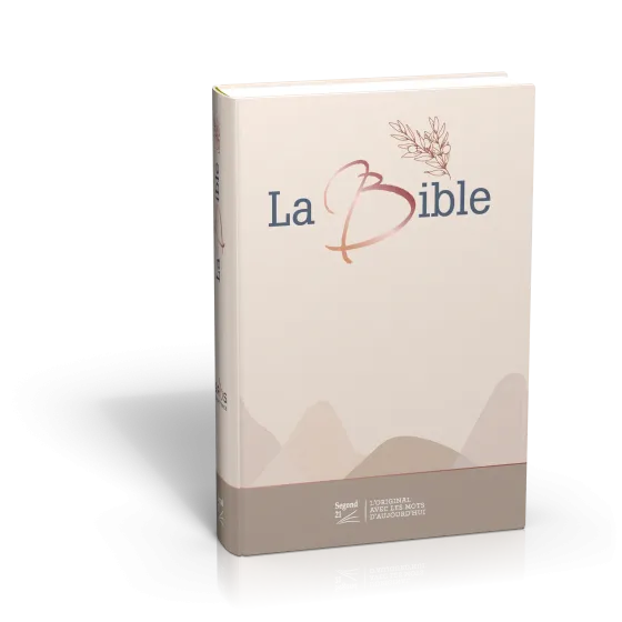 Bible SG21 gros caractères rigide toile matelassée beige