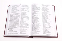 CSB gift and award Bible burgundy