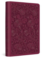 ESV value compact Bible trutone raspberry floral