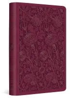 ESV value compact Bible trutone raspberry floral