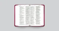 ESV value compact Bible trutone raspberry floral