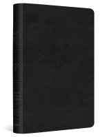 ESV value compact Bible trutone black