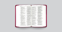 ESV value compact Bible trutone black