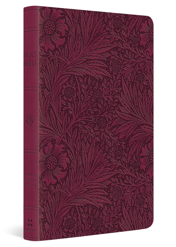 ESV value thinline Bible trutone raspberry floral
