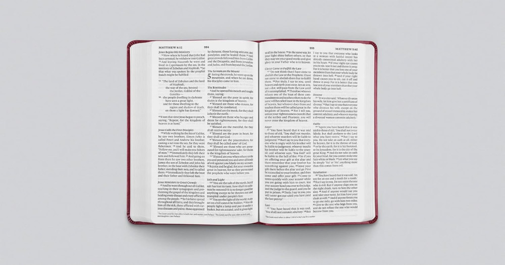 ESV value thinline Bible trutone raspberry floral