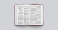 ESV value thinline Bible trutone raspberry floral