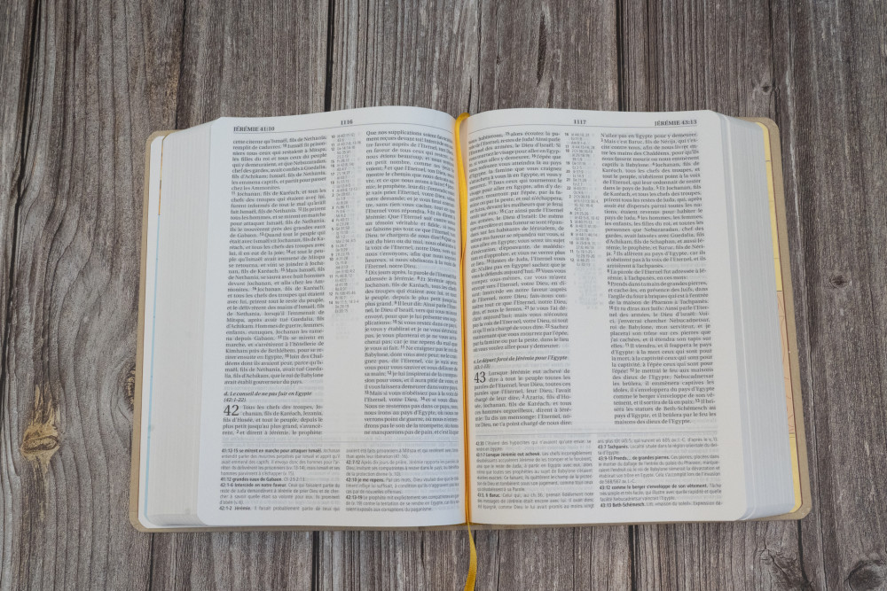 Bible NEG MacArthur souple textile beige