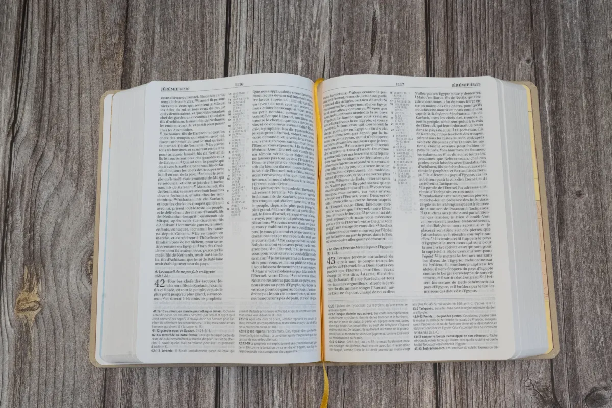 Bible NEG MacArthur souple textile beige