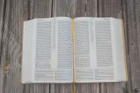 Bible NEG MacArthur souple textile beige