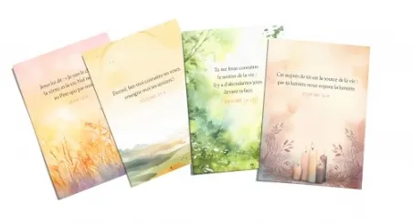 Lot de 100 mini-cartes  Vie et Lumière