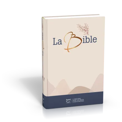 Bible SG21 gros caractères rigide toile matelassée beige