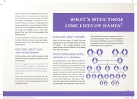 God's Bible timeline - The bog book of biblical history