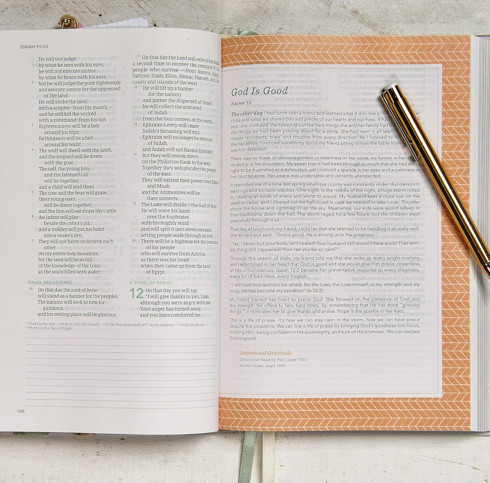 CSB (in)courage devotional Bible hardcover