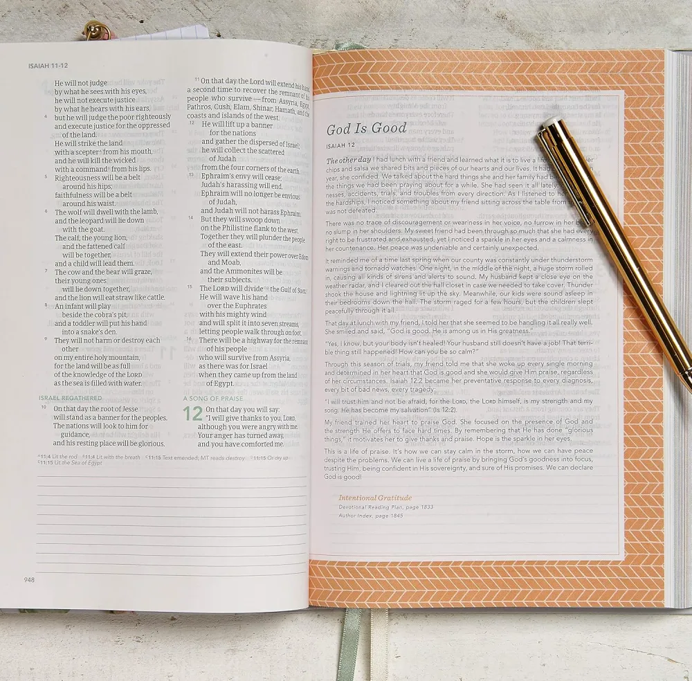 CSB (in)courage devotional Bible hardcover