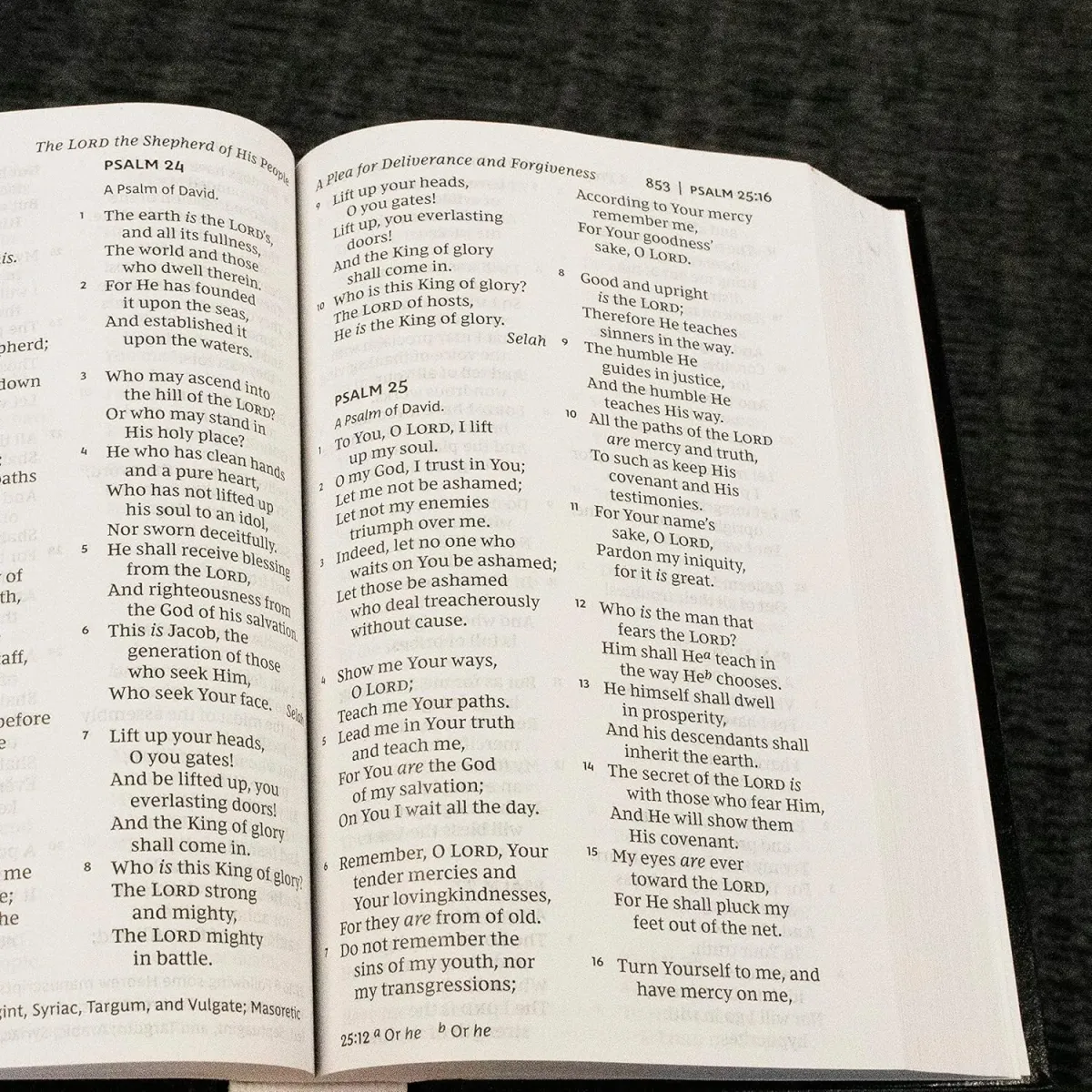 NKJV pew Bible LP navy hardcover