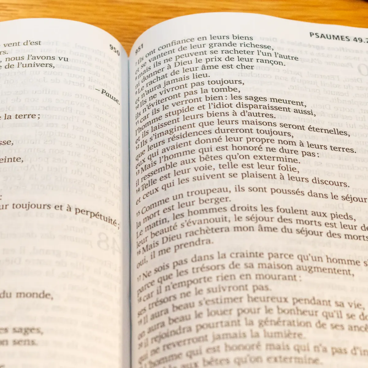 Bible SG21 gros caractères rigide bleu