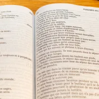 Bible SG21 gros caractères rigide bleu